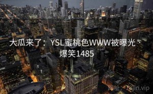 大瓜来了：YSL蜜桃色WWW被曝光 · 爆笑1485