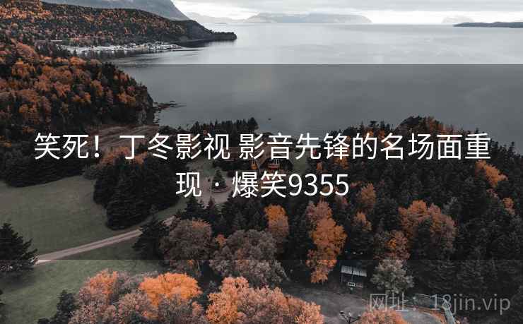 笑死!丁冬影视 影音先锋的名场面重现 · 爆笑9355 笑死!丁冬影视 影音先锋的名场面重现 · 爆笑9355