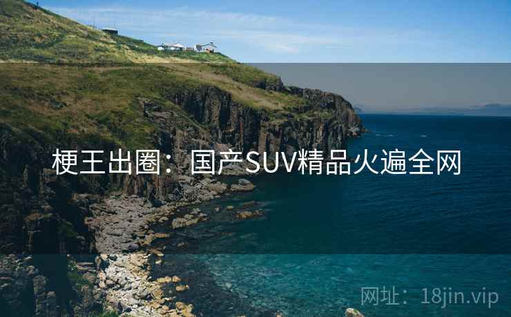 梗王出圈：国产SUV精品火遍全网